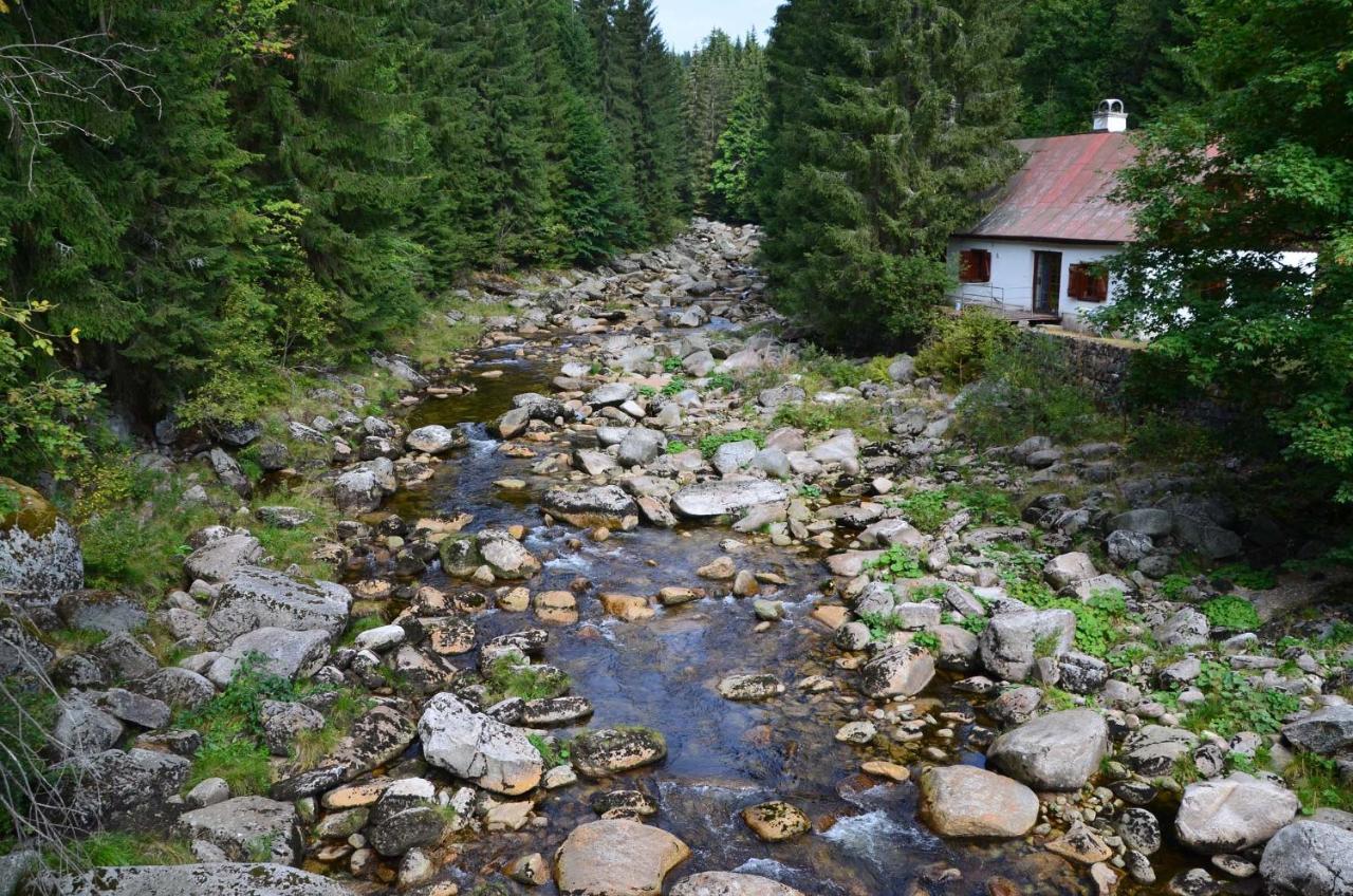 Chata - Sport - Ski Kořenov Esterno foto