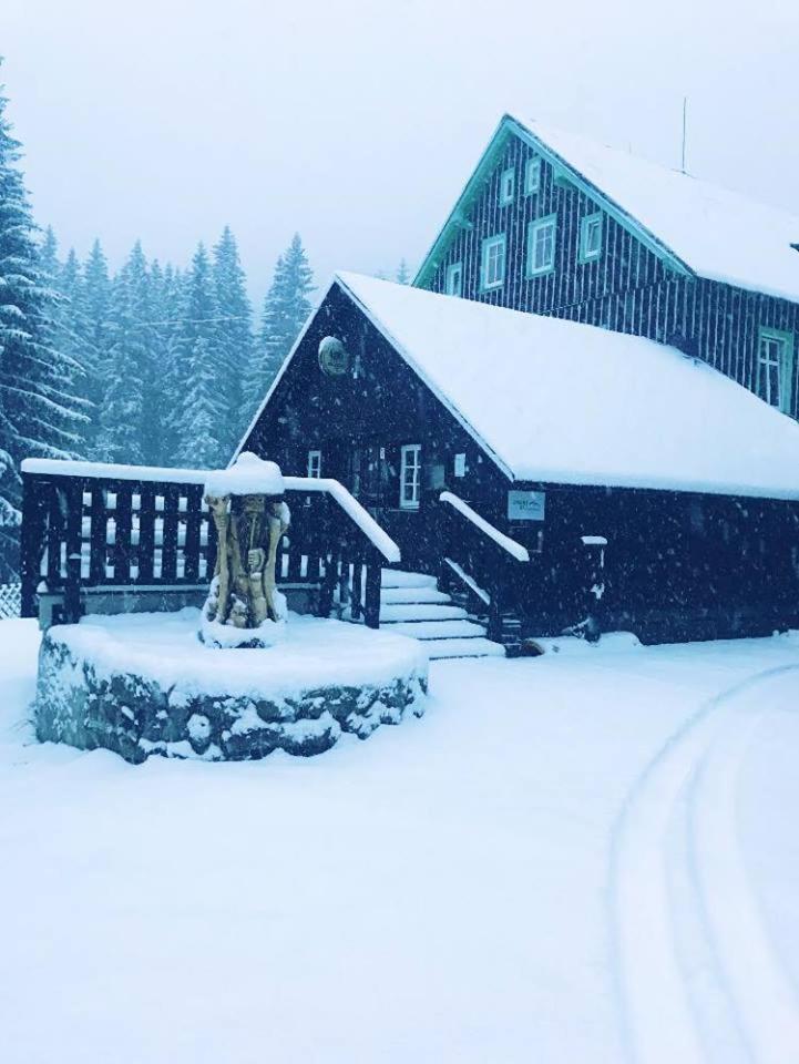 Chata - Sport - Ski Kořenov Esterno foto